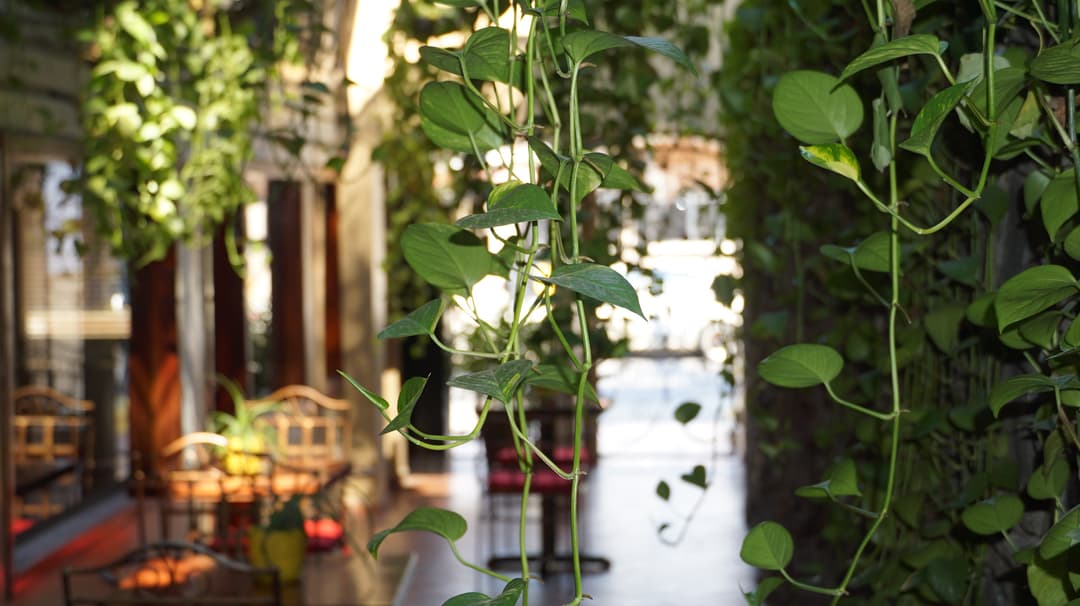 Te obsequiamos un pedacito de lo nuestro!