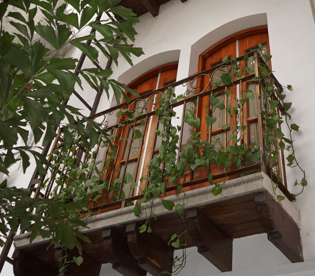 Naturaleza a tu alcance!